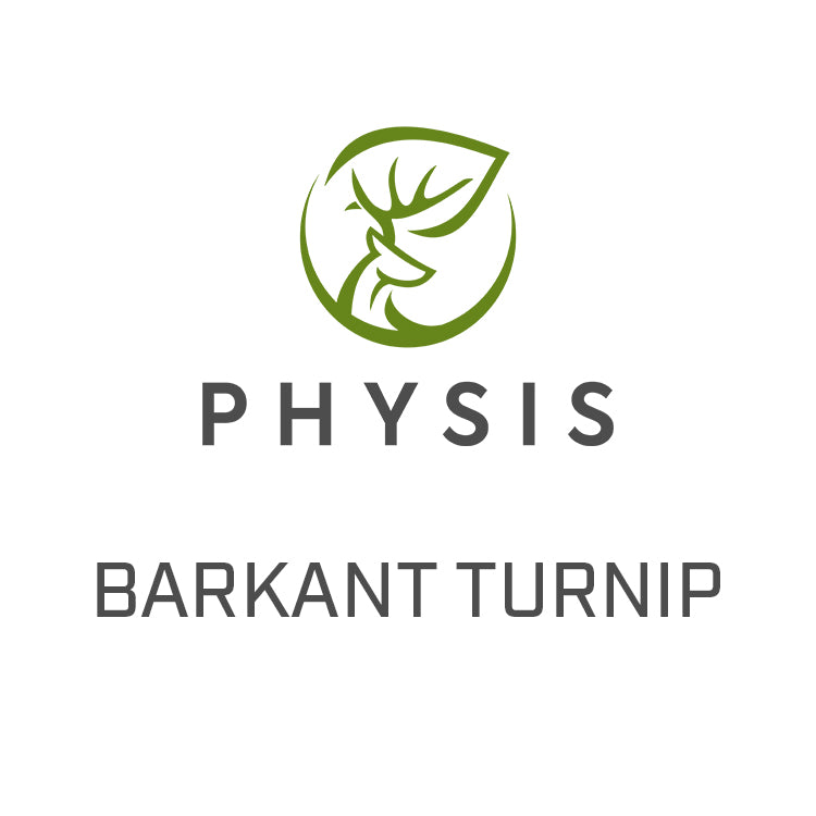 Barkant Turnip