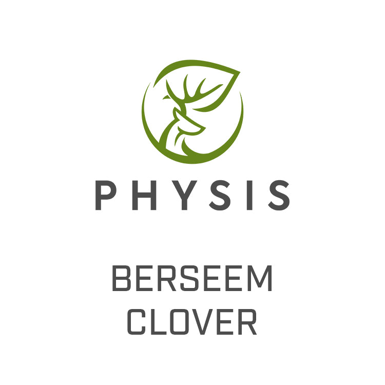 Berseem Clover