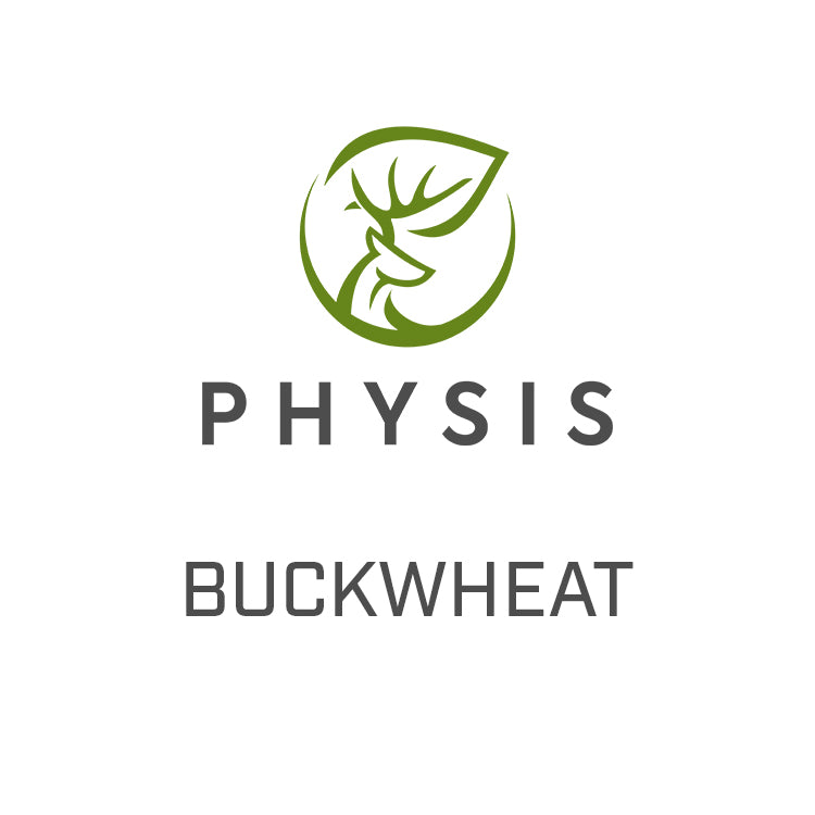 Buckwheat