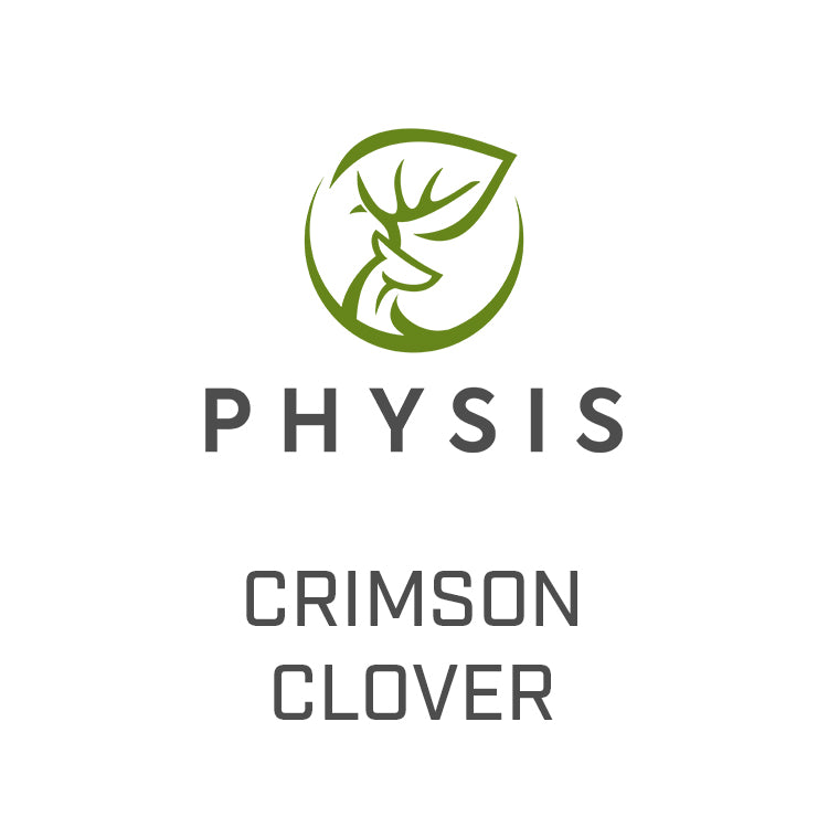 Crimson Clover