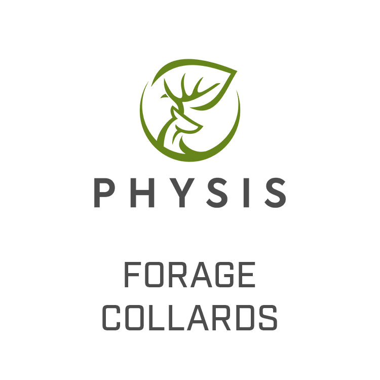 Forage Collards