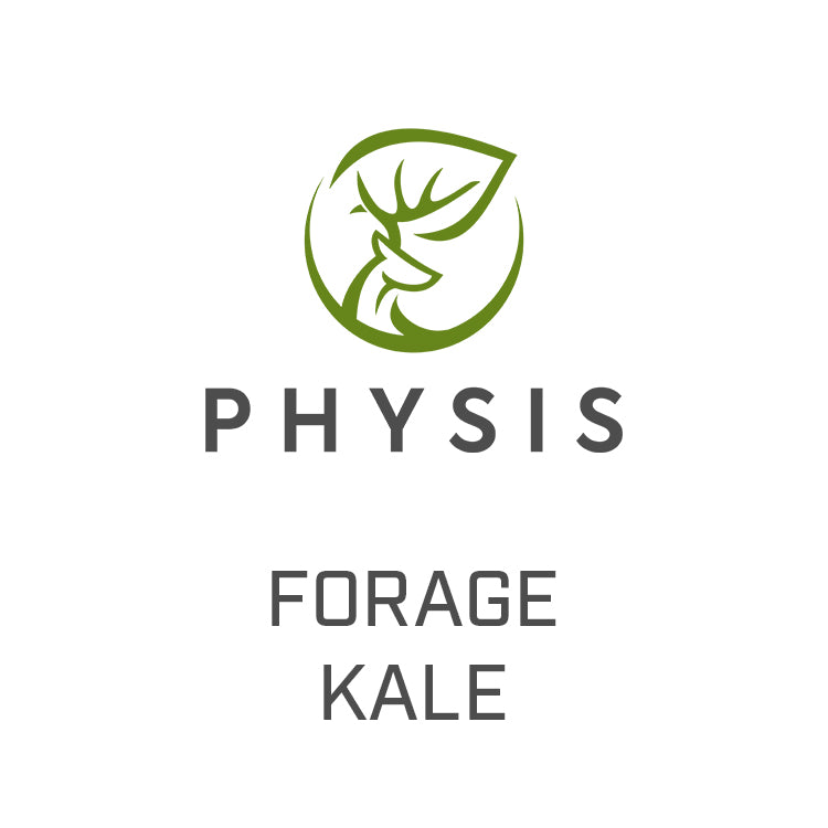 Forage Kale