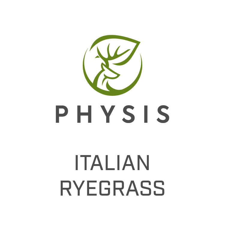 Italian Ryegrass