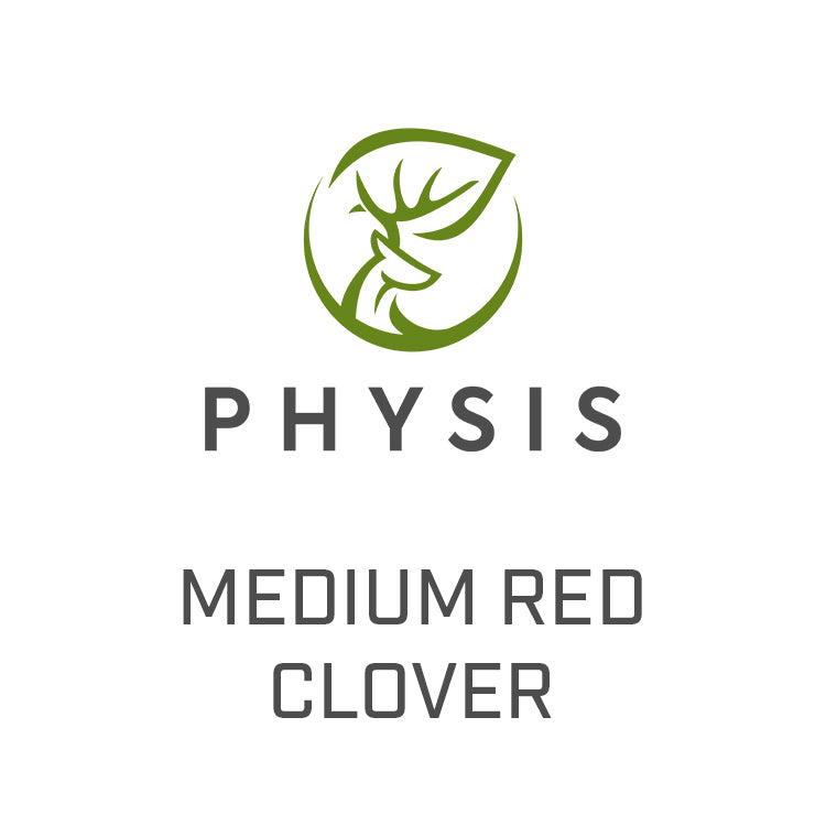 Medium Red Clover: 3-5 Year