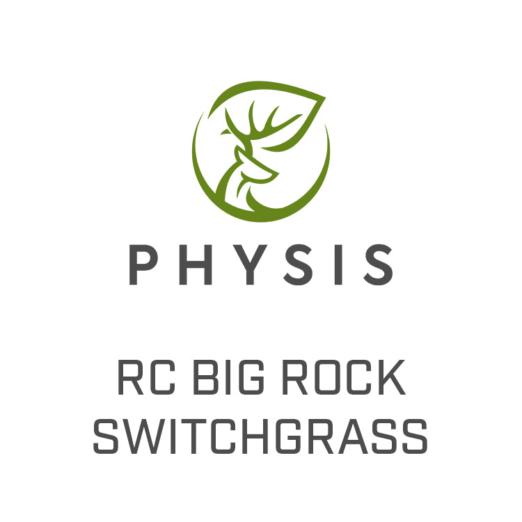 RC Big Rock Switchgrass