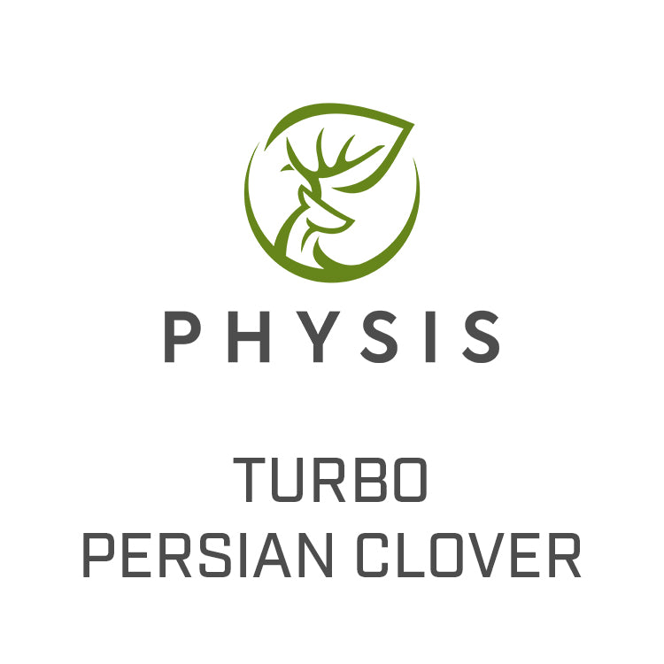 Turbo Persian Clover