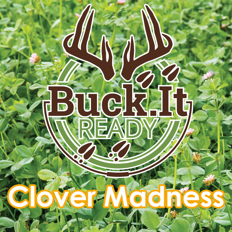 Clover Madness